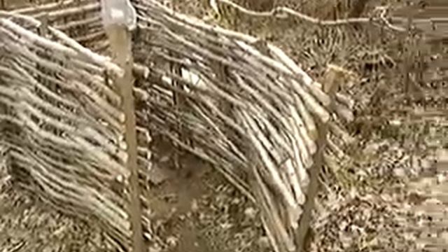 Туалет ))) смотреть онлайн