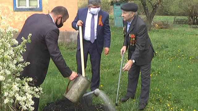 В Ливнах у дома ветерана ВОВ высадили новые деревья смотреть онлайн