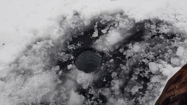 Попал на слом погоды | Рыбалка на БЕЗМОТЫЛКУ и ДОНКУ смотреть онлайн