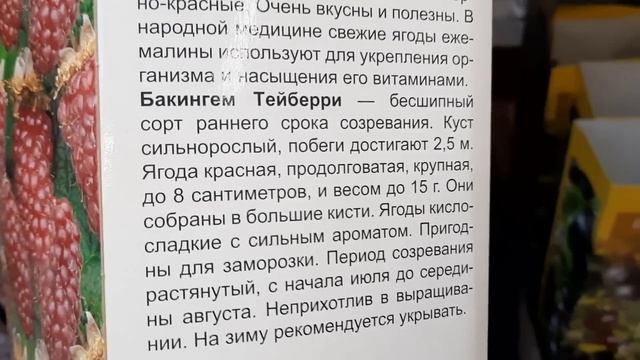 ОБИ-растения декоративные,плодово-ягодные,Барбарисы,малина,клубника,виноград,крыжовник,смородина... смотреть онлайн