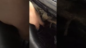 Плавающие обороты Форд