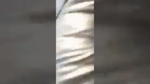 Алабай щенки 50дней первая прививка