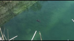 Инкерманский карьер оз. Святого Климента 23 04 2023