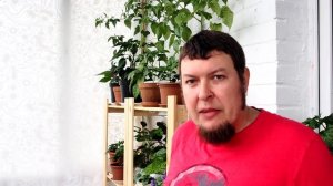 Выращиваем перец чили дома: как опылять перцы?