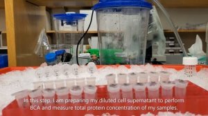 Western Blot Part 1