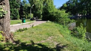 цапля утки парк