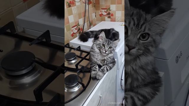 Хорошо лежит смотреть онлайн