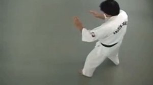 Эншин Каратэ - Ао Оби но ката 2