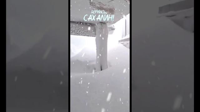 Держись, Сахалин!