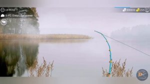 Змееголов▶My fishing world▶мой рыболовный мир▶где и на что ловить змееголова