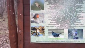 Природный исторический парк Покровское-Стрешнево. Чистейший родник