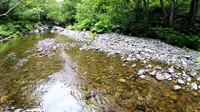 Рыбалка на горной реке. Мальма\Голец. Июнь 2020. Mountain stream fishing. Dolly Varden trout.