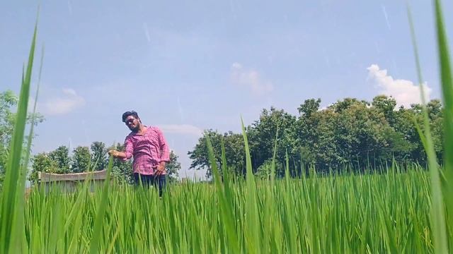 Ay pilla....love story movie song cover by #Samba#Vijay смотреть онлайн