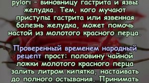 ЖГУЧИЙ ПЕРЕЦ - МОЩНЫЙ УДАР ПО МНОГИМ БОЛЕЗНЯМ!