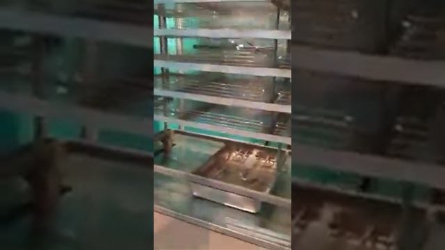 Инкубатор на 3168 яйца промышленный смотреть онлайн