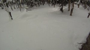 Riding down Chekhov Pt.2 / Сквозь лес с пика Чехова (2)