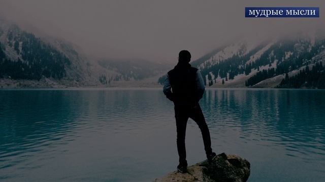 Жизненные Цитаты и Афоризмы! Правильные Мысли обо Всем!