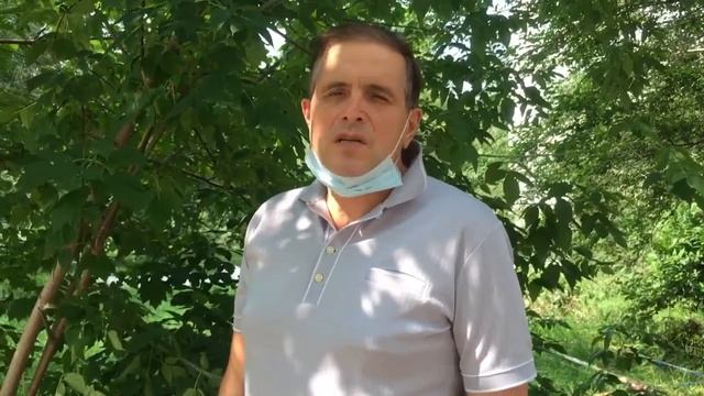 В Сосновоборске появится центр паллиативной помощи неизлечимо больным смотреть онлайн