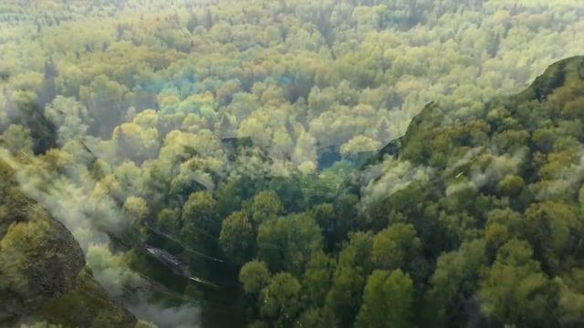 Музыка для релаксации и успокоения нервов