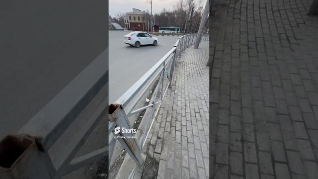 Березовая роща Кошурникова Гоголя Дзержинский район Новосибирск Проспект Дзержинского Сибирь Метро