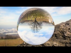 Раковая Опухоль И Химиотерапия