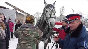 Казак без коня, что воин без ружья