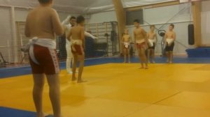 Самбисти в Сумо юноши, самбо, борьба 2017г показательные выступления/