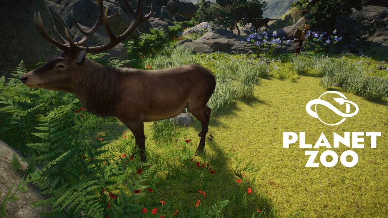 Planet Zoo - Внезапное обновление