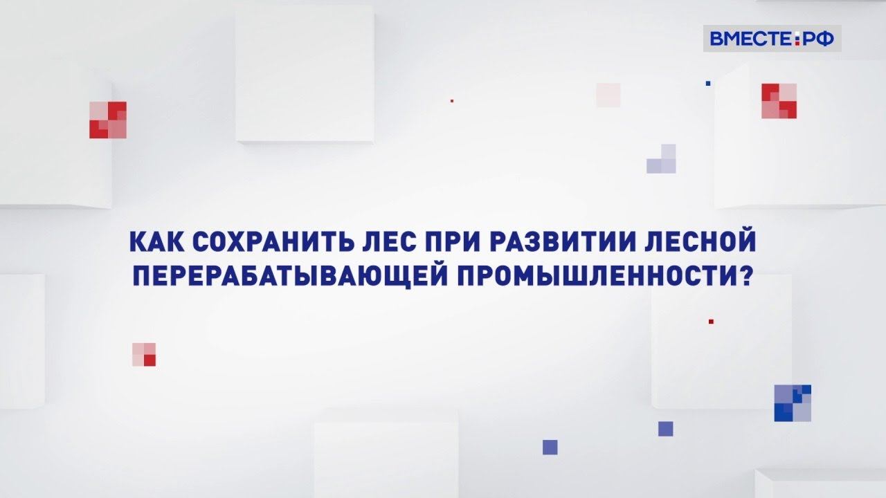 Как сохранить лес при развитии лесной перерабатывающей промышленности? Два мнения