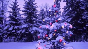 Птаха - Мандарины