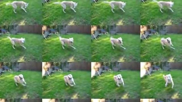 Nikon Coolpix S9300 Review1296 смотреть онлайн