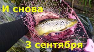 #мормышинг #3сентября  - Встречаем осень и провожаем лето!!!