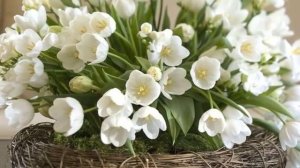 Spring Waltz and Tulips * Paul de Sennville & George Davidson _ Mariage d'amour *