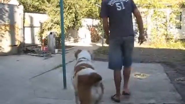 САО,Юзбаш 10 месяцев,показываем ОКД смотреть онлайн