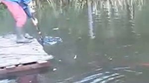 как очистить пруд своими руками