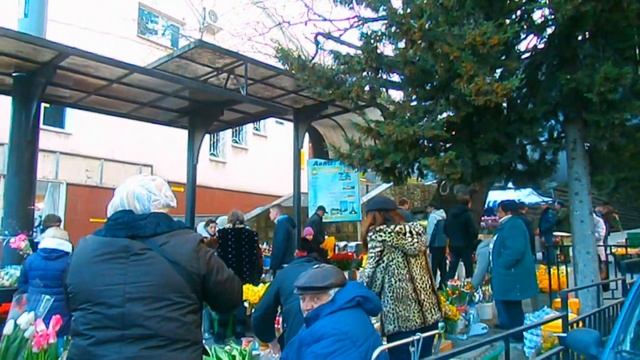 Весенний праздник 8 Марта! Продажа цветов "У дуба" в Лазаревском. смотреть онлайн