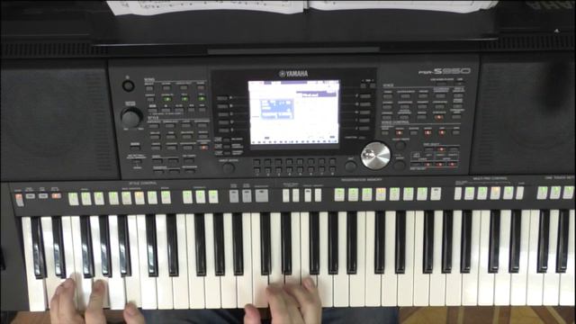 Bright Eyes (Mike Batt/Art Garfunkel) demo PSR S950. Лето 2019