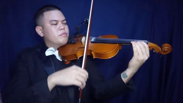 Diana - Paul Anka (violin Cover) #johnviolin