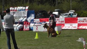 Чемпионат Московской области 2016 г. по ОКД и ЗКС.