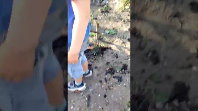 Знак Какая часть слова на этой части не было пожара но она прошла я был смотреть онлайн