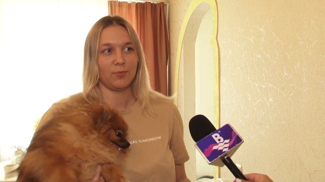 Собака на первом канале
