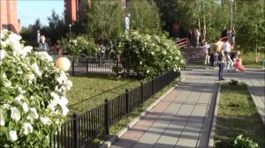 Зеленоград. Белая сирень