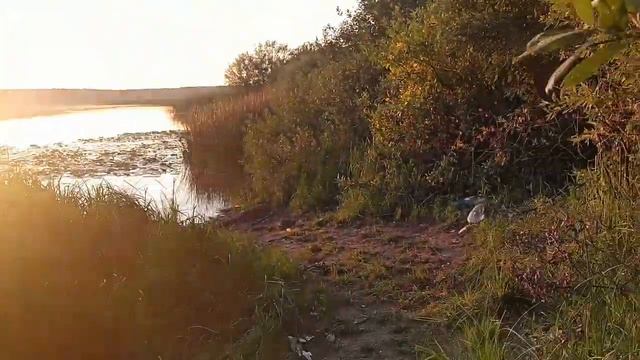 Колянный орех или Чилим на Ореховом озере смотреть онлайн