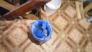Закармливаю на зиму пчел сахарным сиропом.