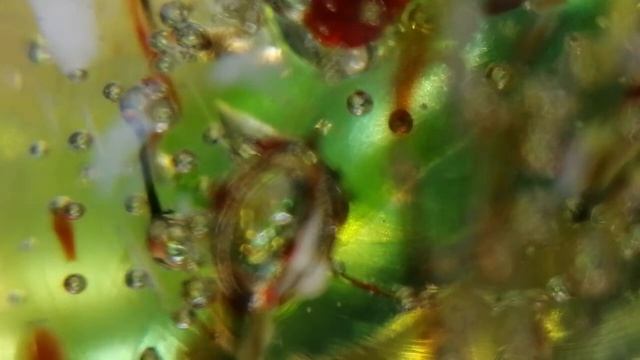 Я ВАС ЛЮБЛЮ ВСЮ ЖИЗНЬ И КАЖДЫЙ ДЕНЬ. МАРИНА ЦВЕТАЕВА. ЧИТАЕТ ОЛЬГА ШУБИНА 05.02.2021 18 + смотреть онлайн