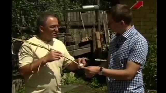Альтернативный сад. Чеснок. Органическое земледелие.