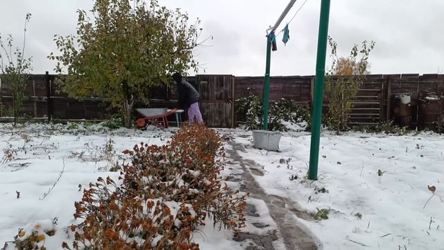 Переезд в Россию/Проверила зрение и расстроилась/Встречаем папу с работы/Пришло время их убрать смотреть онлайн