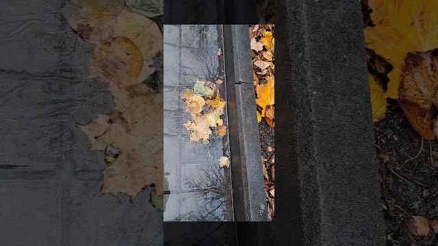 Осенний день. На улицах родного города. смотреть онлайн