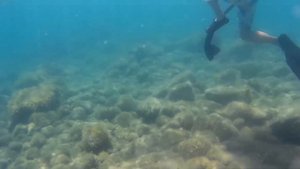 Малый Утриш. Отдых и подводная охота