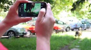Samsung Galaxy K Zoom Камера тест